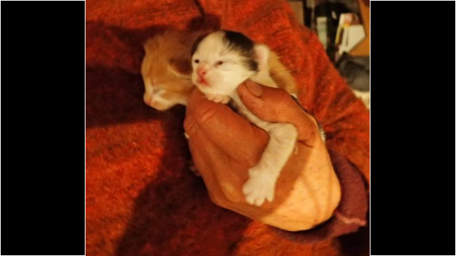 Bald sehen sie die schöne Welt Bald sehen sie die schöne Welt