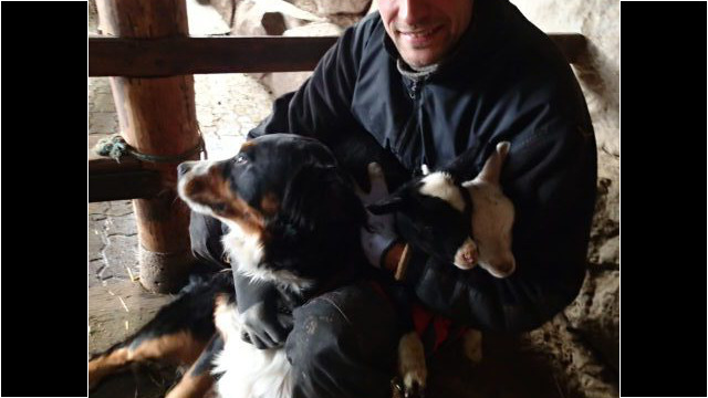 Innehalten beim Stallmachen Innehalten beim Stallmachen