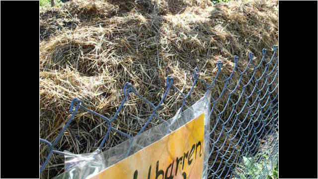 Gut geschützt machen Millionen von kleinen Helfern daraus den kostbaren Humus für Garten, Wiesen und Weiden Gut geschützt machen Millionen von kleinen Helfern daraus den kostbaren Humus für Garten, Wiesen und Weiden