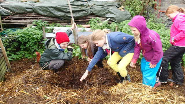 am Misthaufen gibt es viel zu staunen