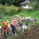 Kinder auf Feld