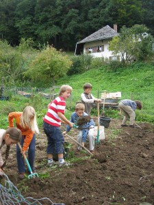 Kinder auf Feld