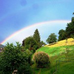 Regenbogen ueber der Tierweide