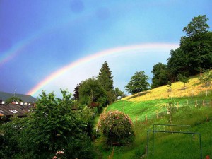 Regenbogen ueber der Tierweide