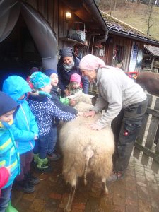 Kindergartenkinder freuen sich über Goldas weiche warme Wolle