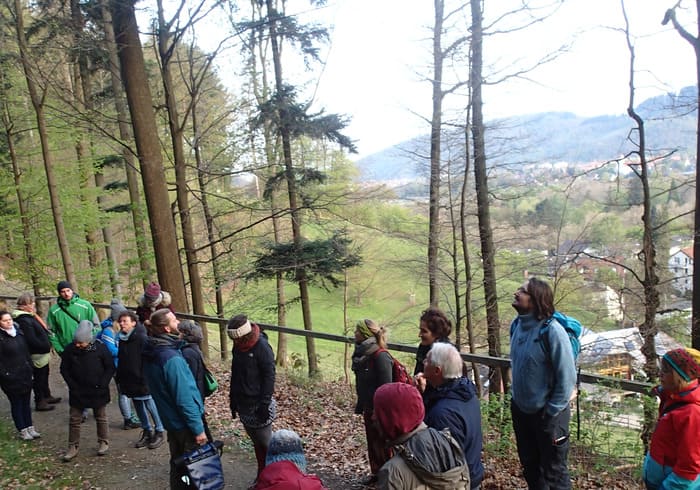 Vogelstimmenwanderung vom Lernort Kunzenhof Freiburg zum Frühlingsbeginn