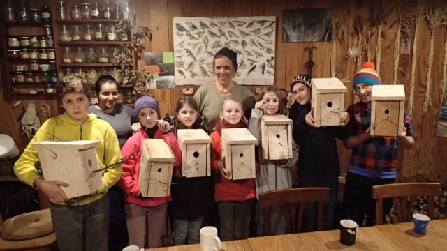 Die Nistkästen haben wir aus einem Brett gezimmert. Die Nistkästen haben wir aus einem Brett gezimmert.