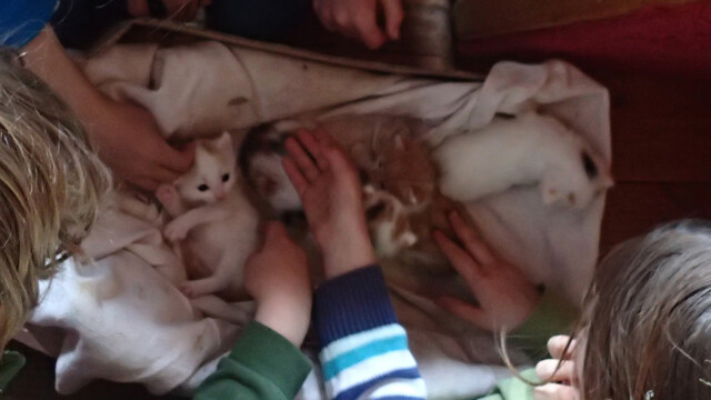 ... und bewundert ... und bewundert