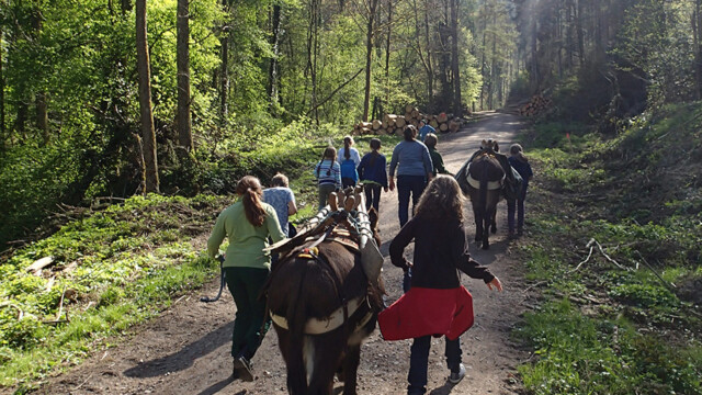 Die Jupro-Kinder wandern in den Wald ... Die Jupro-Kinder wandern in den Wald ...
