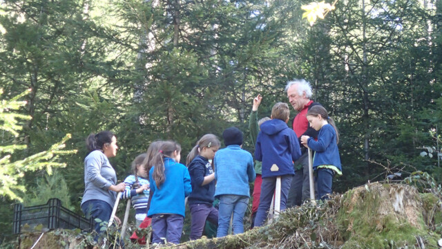 ... und dürfen mit Förster Friedmann Bäume pflanzen ... und dürfen mit Förster Friedmann Bäume pflanzen