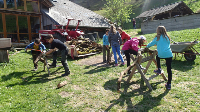Brennholz gesägt ... Brennholz gesägt ...