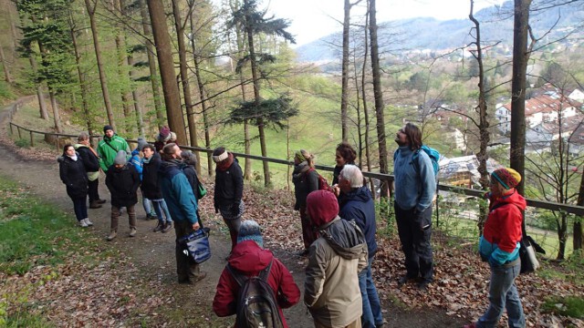 Dem Vogelkonzert lauschen am frühen Morgen Dem Vogelkonzert lauschen am frühen Morgen