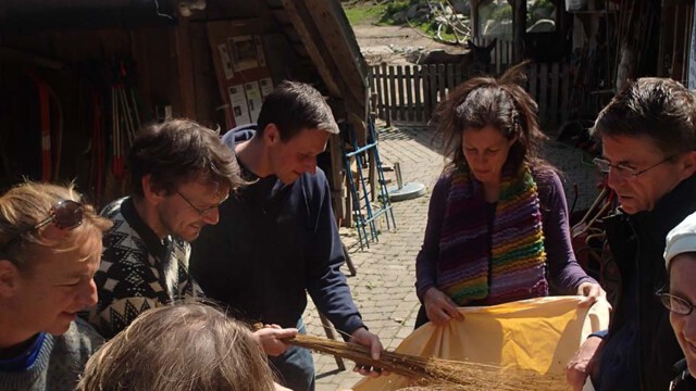 Beim Flachsfest wird zuerst der Samen geriffelt Beim Flachsfest wird zuerst der Samen geriffelt