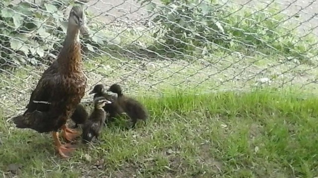 Olgas Geduld hat sich gelohnt Olgas Geduld hat sich gelohnt