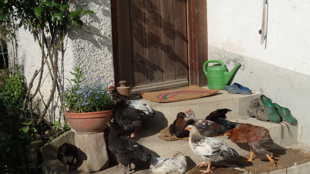 Siesta vor der Haustüre Siesta vor der Haustüre