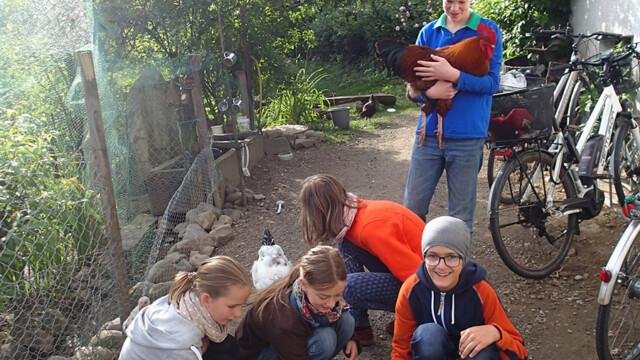 Bei der Ferienfreizeit werden morgens erstmal die Hühner begrüsst. Bei der Ferienfreizeit werden morgens erstmal die Hühner begrüsst.