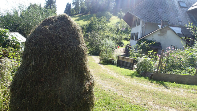 Beim Heu-Öhmd im August gab es wieder Land-Art am Kunzenhof Beim Heu-Öhmd im August gab es wieder Land-Art am Kunzenhof