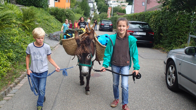 Eselwanderung zum Abschluss der Jahresgruppen Eselwanderung zum Abschluss der Jahresgruppen