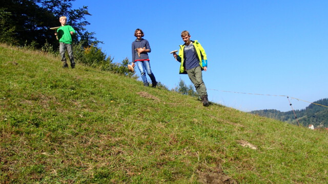 Heute gibt es Parasolpilze Heute gibt es Parasolpilze