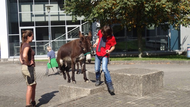In der pädagogischen Hochschule In der pädagogischen Hochschule