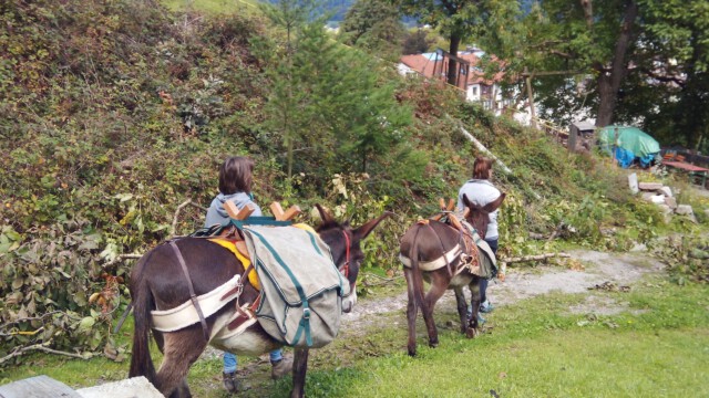 Zu Fuss zum Eselfest am Mundenhof Zu Fuss zum Eselfest am Mundenhof