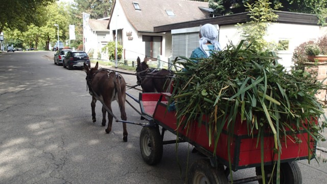Auf dem Weg zum Recyclinghof Auf dem Weg zum Recyclinghof
