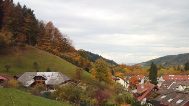 Goldene Antwort von unten Goldene Antwort von unten