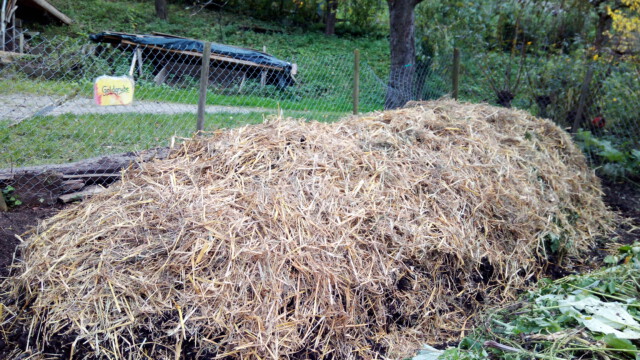 ...der-neue-Goldbarren ...der-neue-Goldbarren