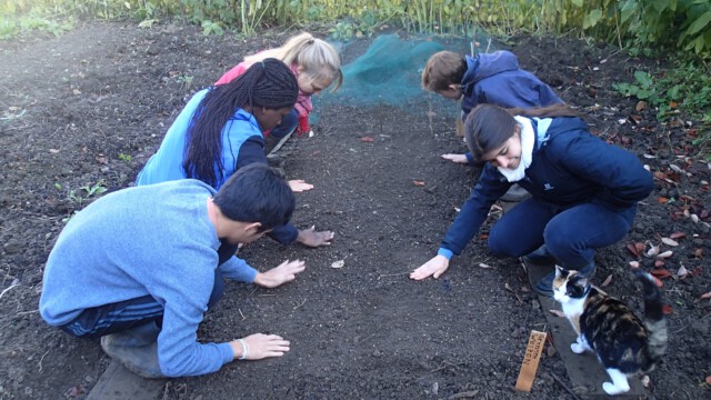 ... und gesät. ... und gesät.