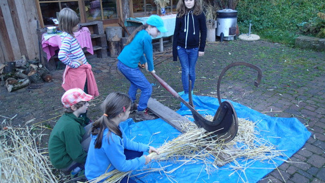 Das lange Stroh geschnitten Das lange Stroh geschnitten