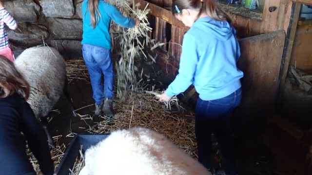 ... und eingestreut. ... und eingestreut.