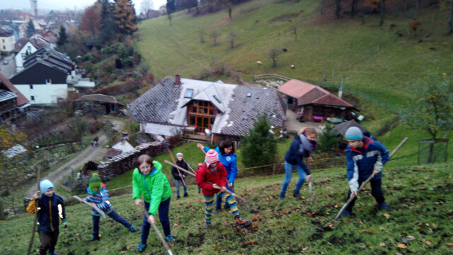 Vor dem Winter wird der feine Kompost auf den Wiesen verteilt Vor dem Winter wird der feine Kompost auf den Wiesen verteilt