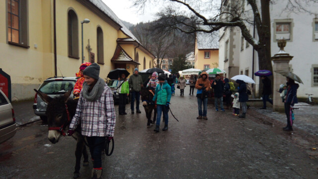 Esel und ... Esel und ...