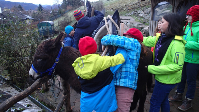 Das Arbeitsgeschirr Das Arbeitsgeschirr