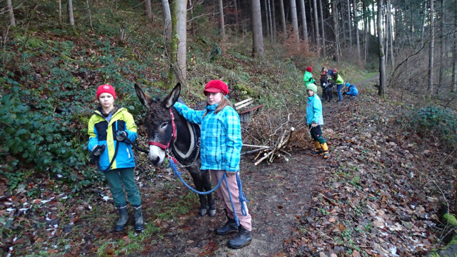 gemeinsam sind wir stark gemeinsam sind wir stark