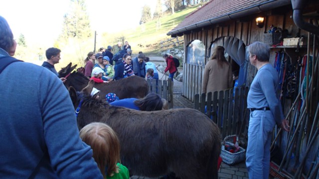 Vor dem Handpuppemspiel werden zuerst einmal freudig die Tiere versorgt Vor dem Handpuppemspiel werden zuerst einmal freudig die Tiere versorgt