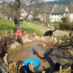 Während wir den See neu einfassen raubt uns der Fuchs alle 4 Enten Während wir den See neu einfassen raubt uns der Fuchs alle 4 Enten