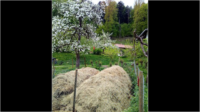Der neue Komposthaufen, land-art! Der neue Komposthaufen, land-art!