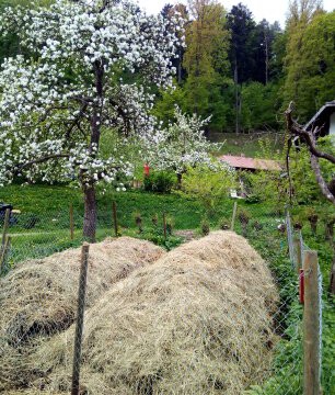 Der neue Komposthaufen, land-art! Der neue Komposthaufen, land-art!