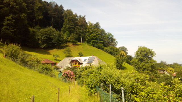 Im Juni liegen Wiesen und Weiden noch grün und saftig Im Juni liegen Wiesen und Weiden noch grün und saftig