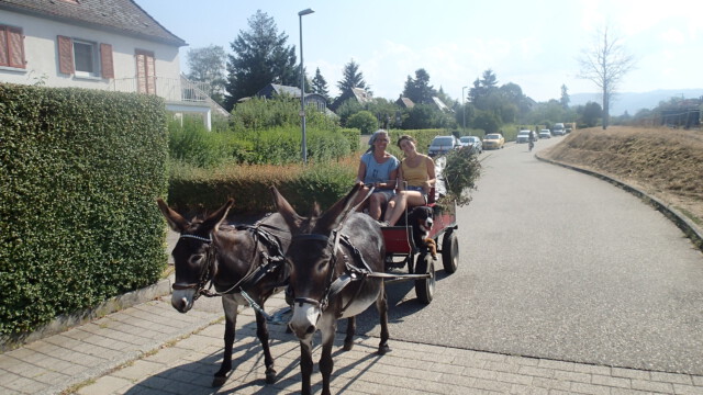 Fahrt zum Recyclinghof