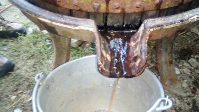 ...zu köstlichem Apfelsaft