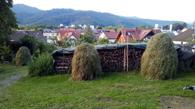 Es trocknet mit allen kostbaren Kräutern aufgehängt auf Dreibock-Reutern