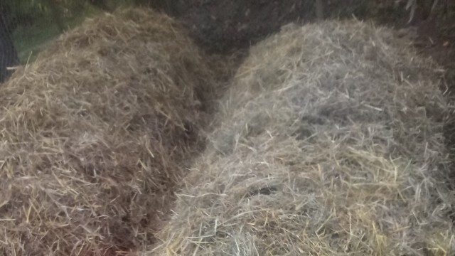 ...und die neue Miete aufgesetzt ( Goldbarren)