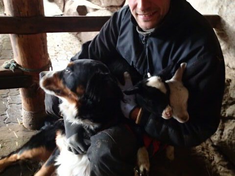 Innehalten beim Stallmachen Innehalten beim Stallmachen