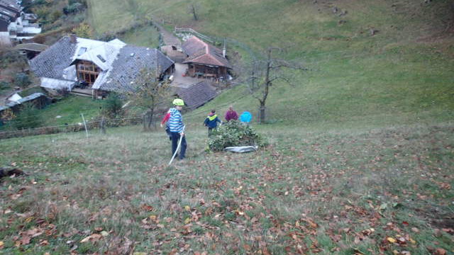 mit Sensen haben wir die Brombeeren gemäht