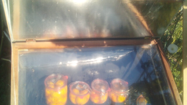 in der Kochkiste werde sie für den Winter eingemacht