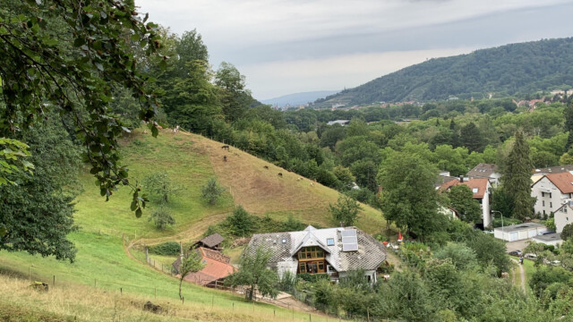 der schönste Konzertsaal