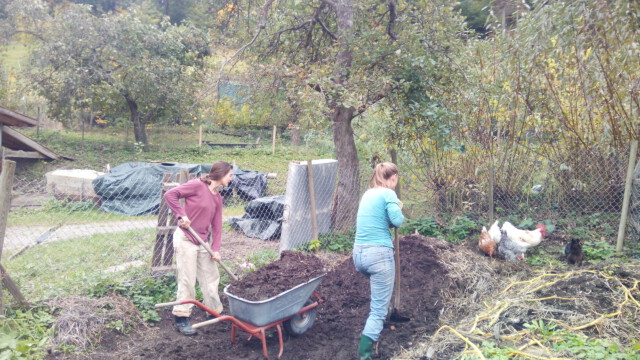 jetzt wird erst einmal der fertige Kompost ausgebracht