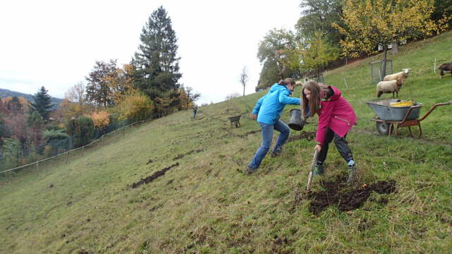 am steilen Berg da wird es uns ganz schön warm